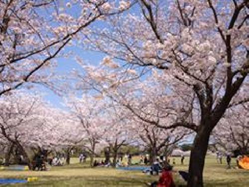 吉野公園 吉野公園 加料 生活